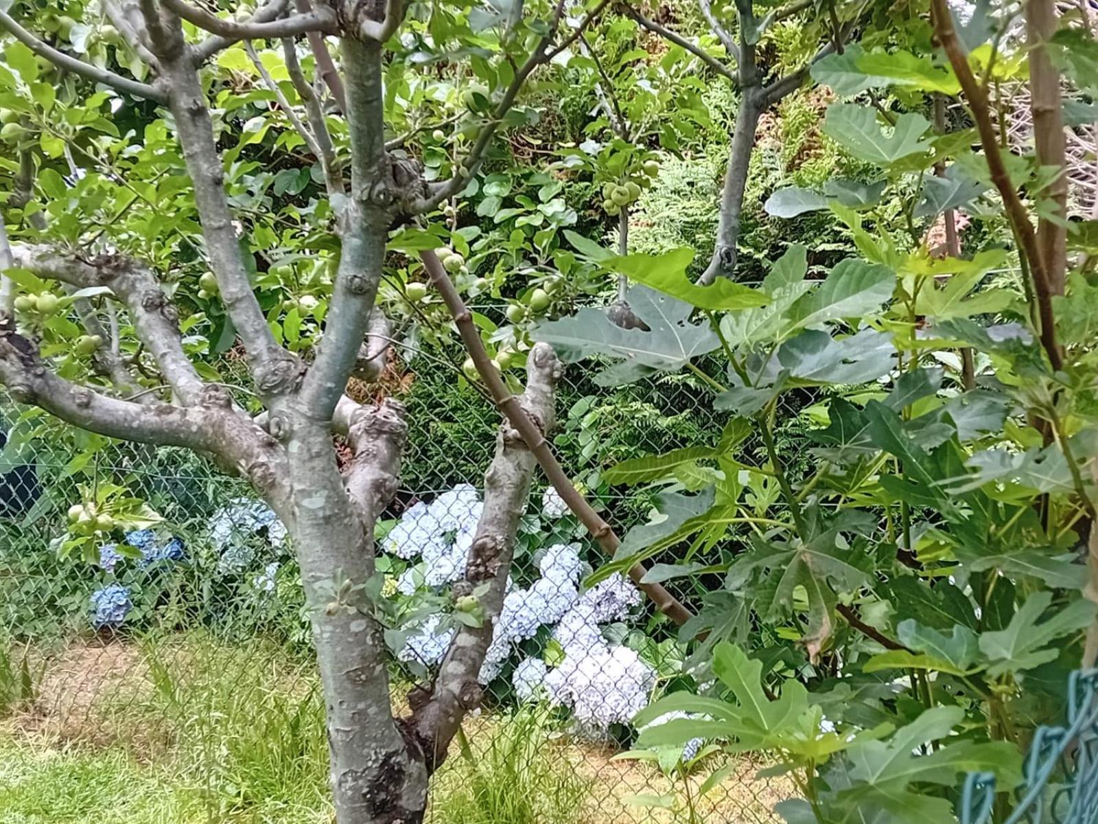 Picona Vivienda Con Jardin Terraza Y Barbacoa 빌라 외부 사진