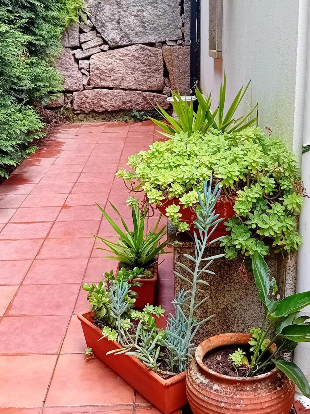 Picona Vivienda Con Jardin Terraza Y Barbacoa 빌라 외부 사진